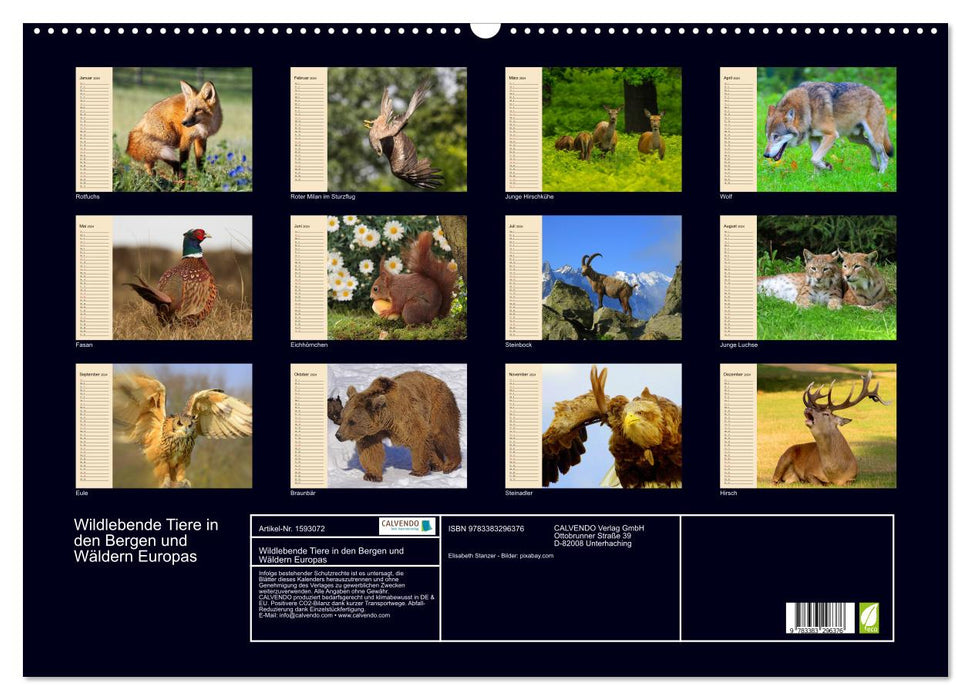 Wild animals in the mountains and forests of Europe (CALVENDO wall calendar 2024) 