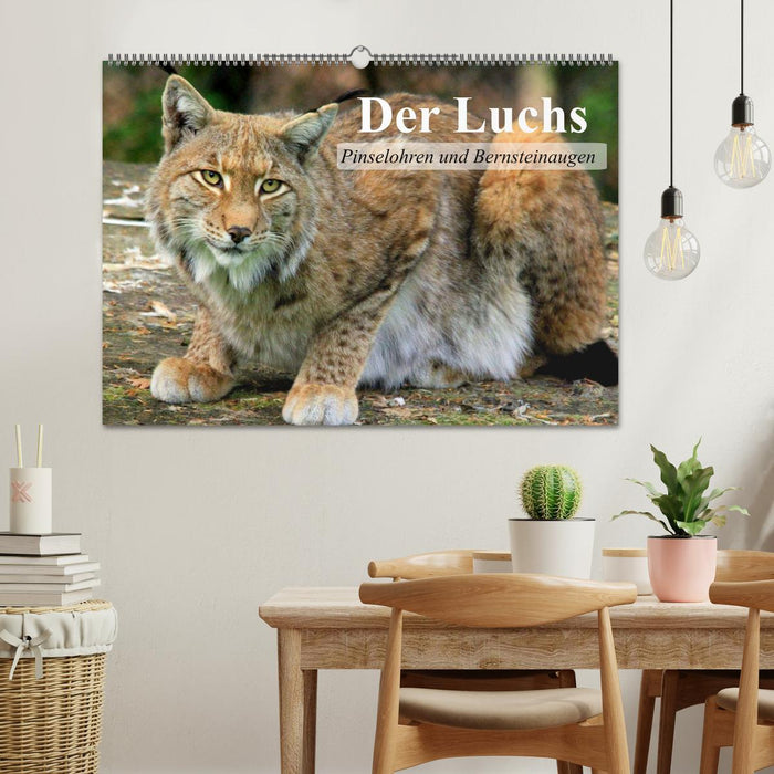 Le lynx. Oreilles en brosse et yeux ambrés (Calendrier mural CALVENDO 2024) 