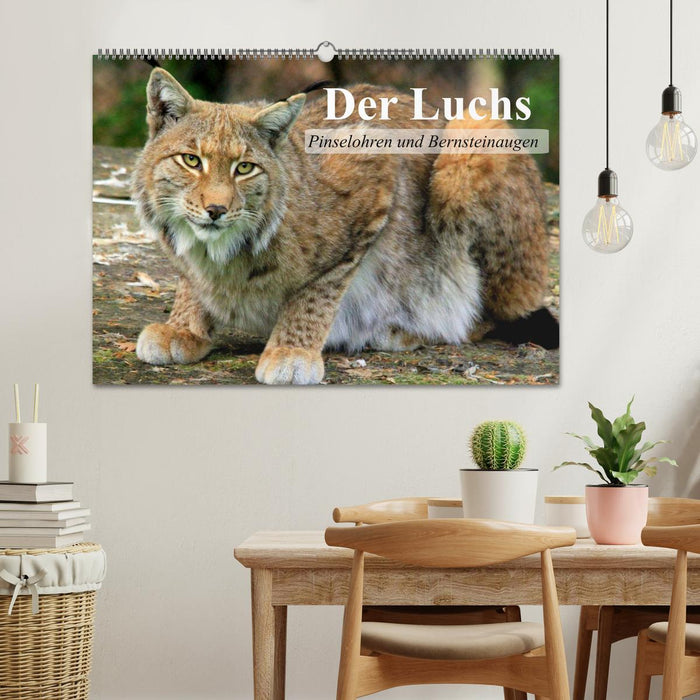 Der Luchs. Pinselohren und Bernsteinaugen (CALVENDO Wandkalender 2024)