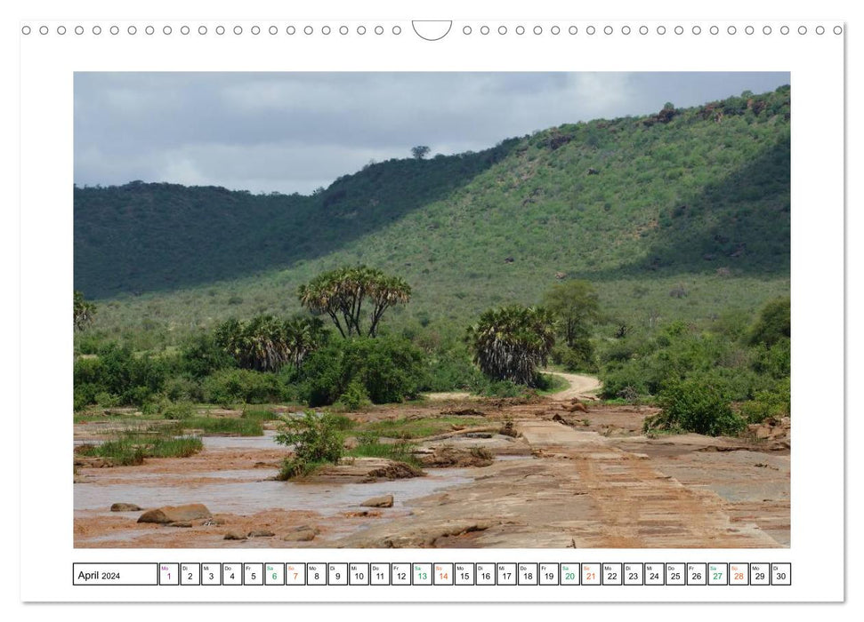 Caribou - paysages du Kenya (Calendrier mural CALVENDO 2024) 