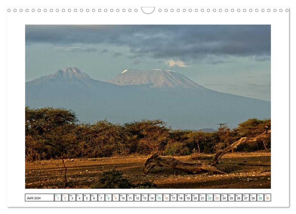 Caribou - paysages du Kenya (Calendrier mural CALVENDO 2024) 