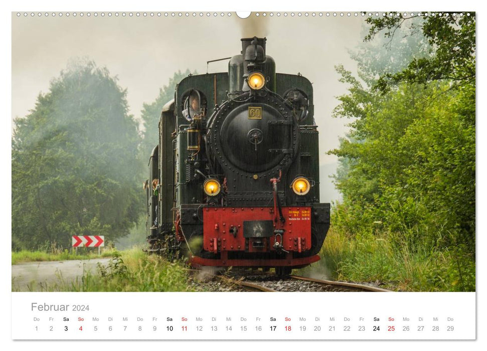 Locomotive à vapeur à voie étroite Bieberlies (calendrier mural CALVENDO 2024) 