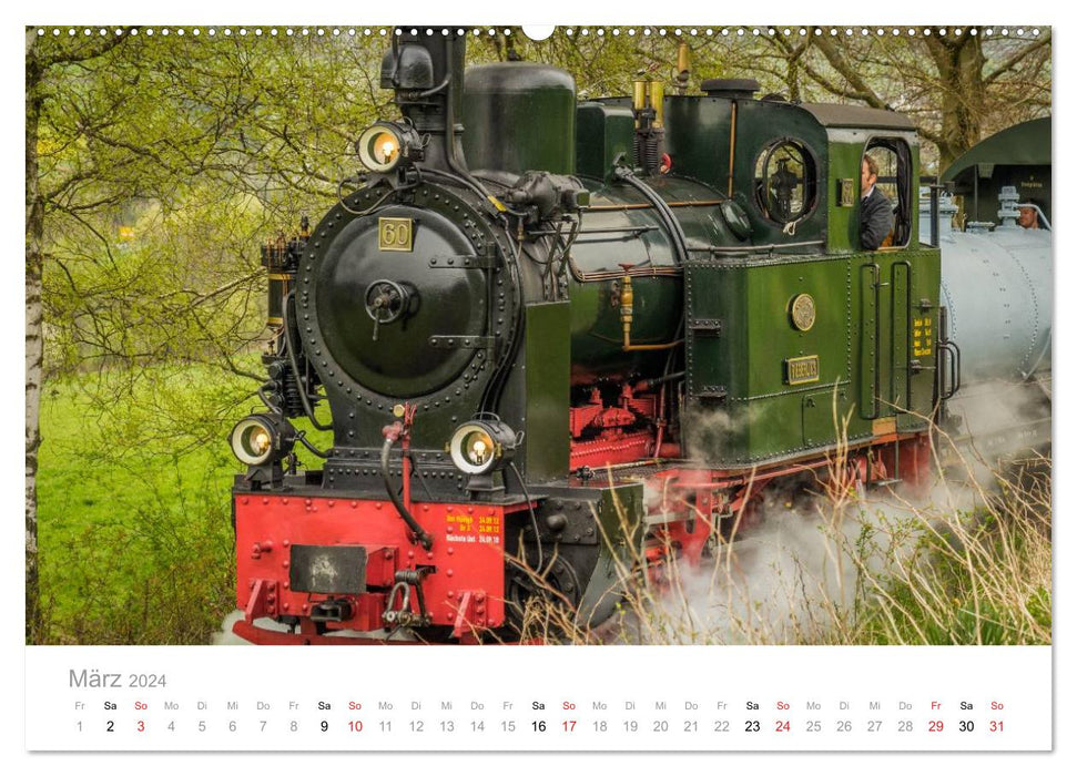 Locomotive à vapeur à voie étroite Bieberlies (calendrier mural CALVENDO 2024) 