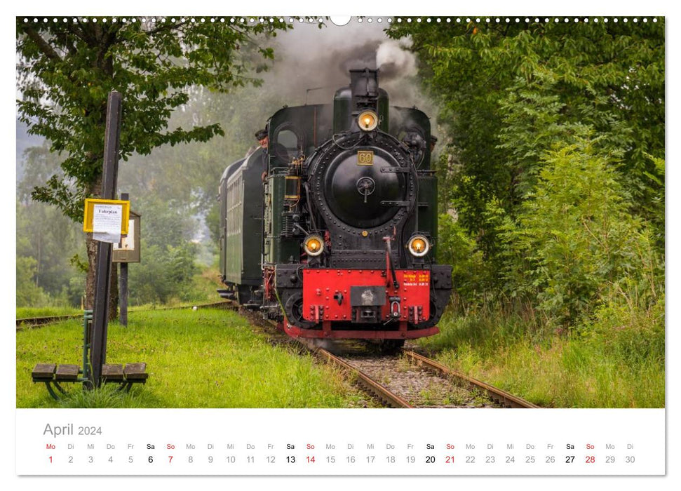 Locomotive à vapeur à voie étroite Bieberlies (calendrier mural CALVENDO 2024) 
