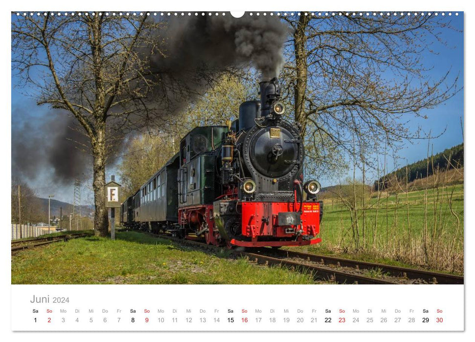 Locomotive à vapeur à voie étroite Bieberlies (calendrier mural CALVENDO 2024) 