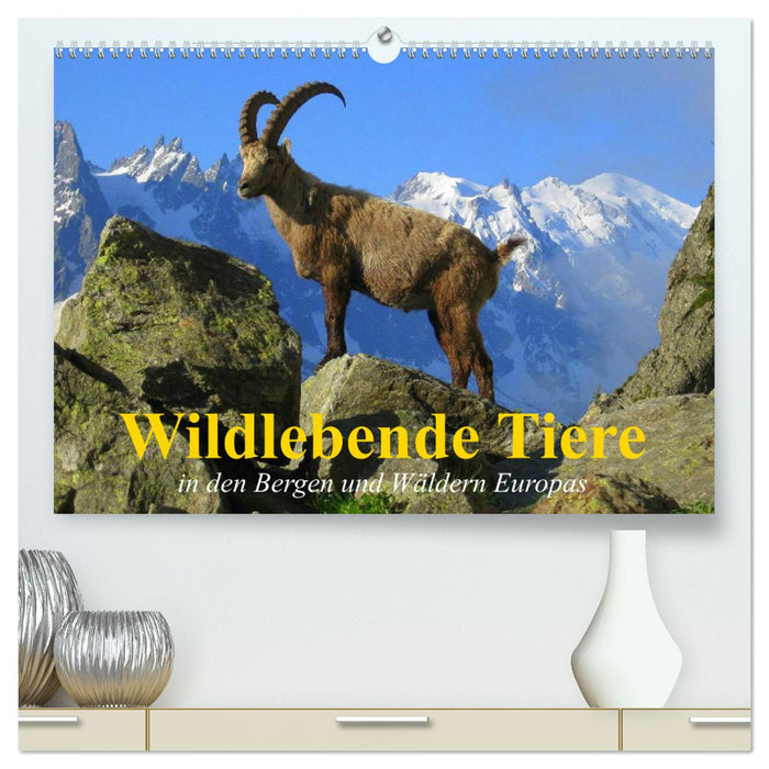 Wildlebende Tiere in den Bergen und Wäldern Europas (CALVENDO Premium Wandkalender 2024)