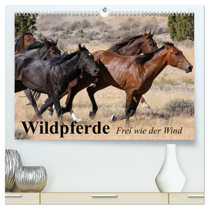 Chevaux sauvages. Libre comme le vent (Calendrier mural CALVENDO Premium 2024) 