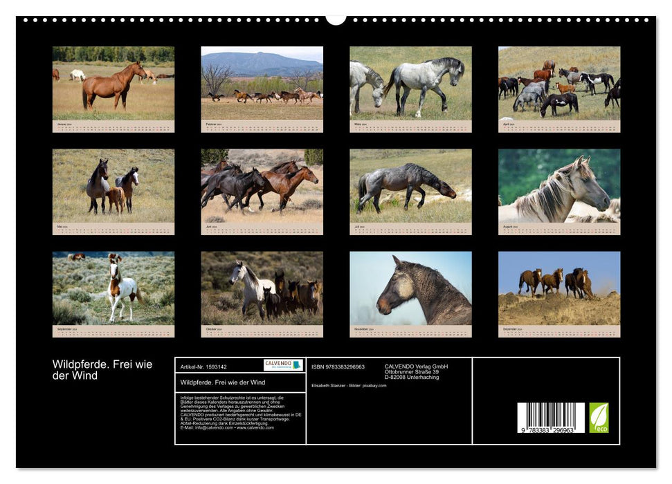 Chevaux sauvages. Libre comme le vent (Calendrier mural CALVENDO Premium 2024) 