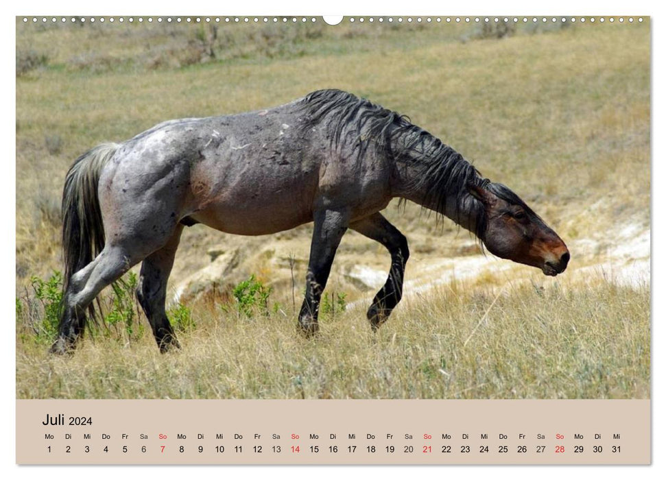 Chevaux sauvages. Libre comme le vent (Calendrier mural CALVENDO Premium 2024) 