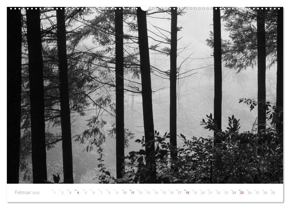 Mystischer Schwarzwald (CALVENDO Premium Wandkalender 2024)