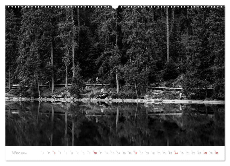 Mystical Black Forest (CALVENDO Premium Wall Calendar 2024) 