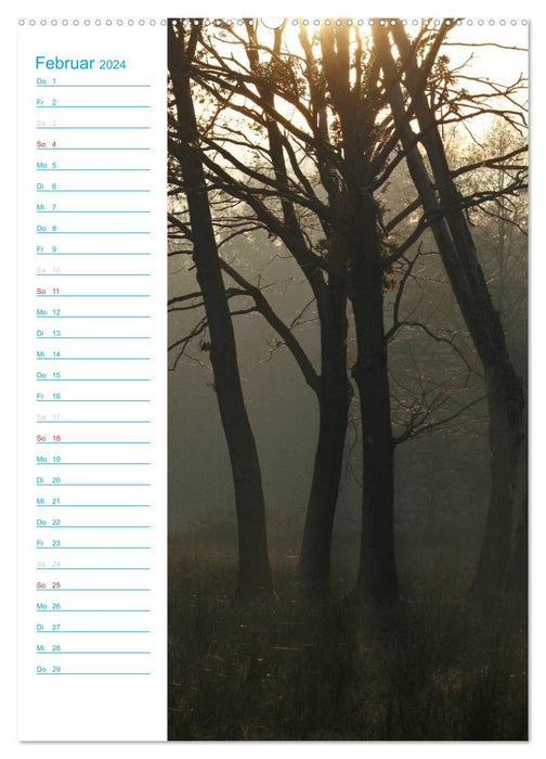 Wunderbarer Spreewald (CALVENDO Premium Wandkalender 2024)