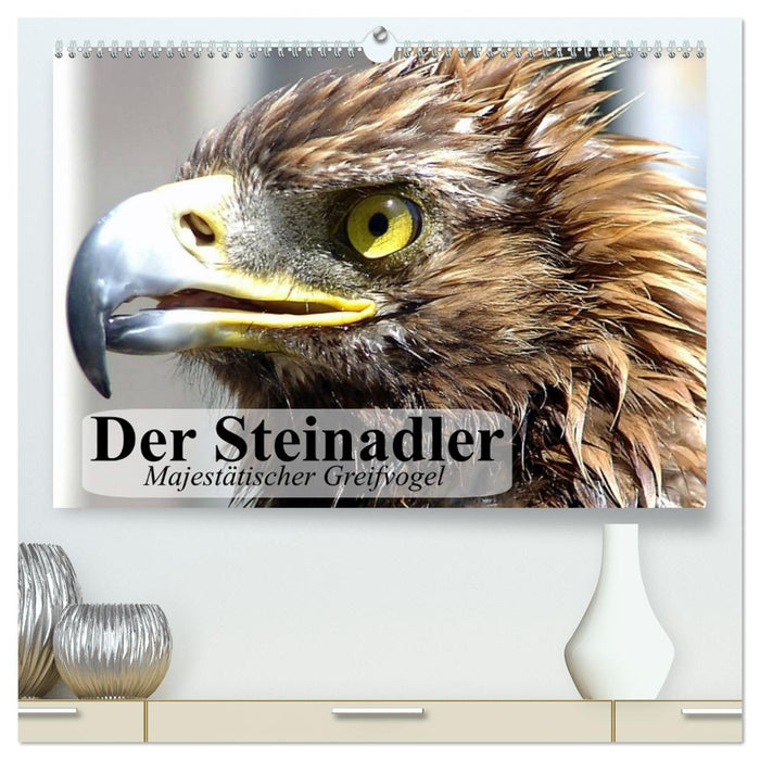The golden eagle. Majestic bird of prey (CALVENDO Premium wall calendar 2024) 
