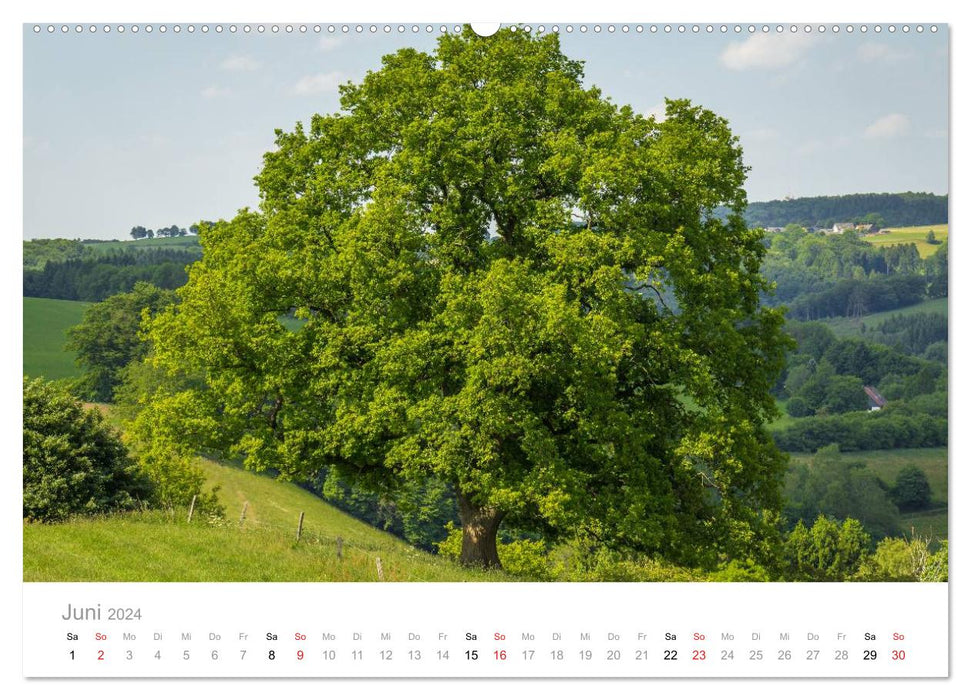 Märkisches Sauerland (CALVENDO wall calendar 2024) 