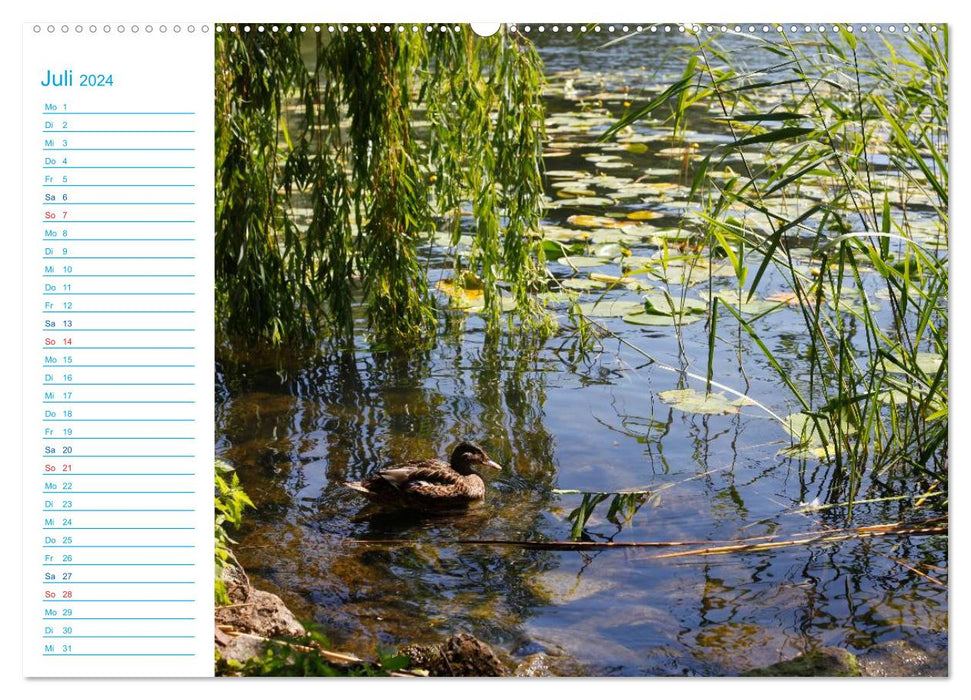 Urlaubsparadies Scharmützelsee (CALVENDO Premium Wandkalender 2024)