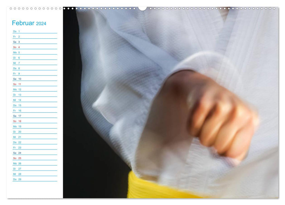 Martial arts (CALVENDO Premium wall calendar 2024) 