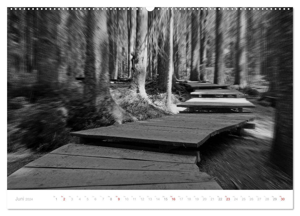 Mystical Black Forest (CALVENDO wall calendar 2024) 
