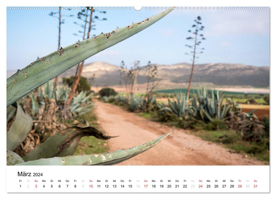 Photo impressions from Andalusia (CALVENDO Premium Wall Calendar 2024) 