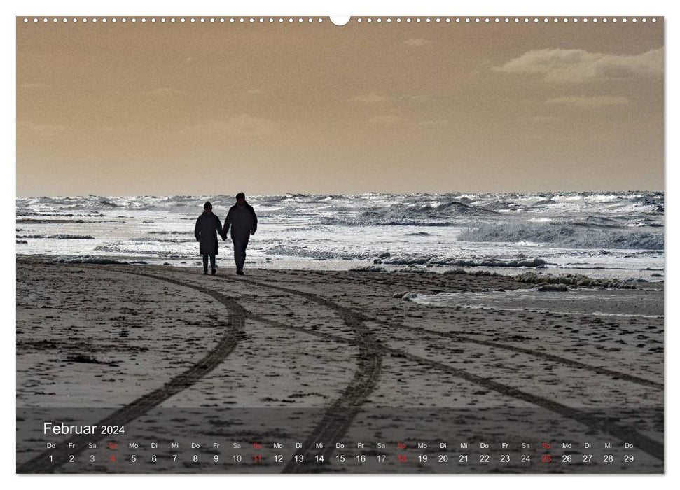 Texel - Meine Insel (CALVENDO Premium Wandkalender 2024)