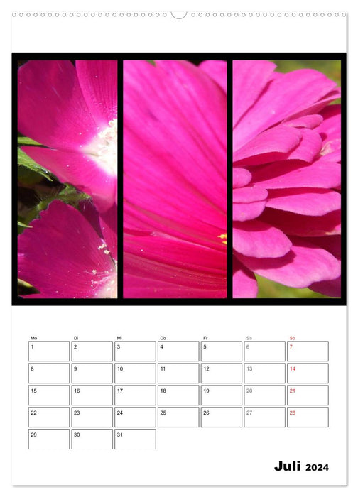 Trilogie der Blütenfarben (CALVENDO Premium Wandkalender 2024)