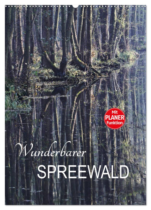 Wunderbarer Spreewald (CALVENDO Wandkalender 2024)