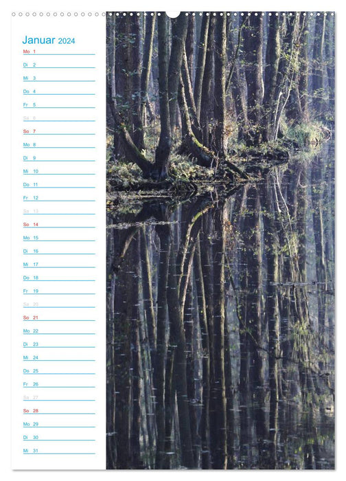 Wunderbarer Spreewald (CALVENDO Wandkalender 2024)