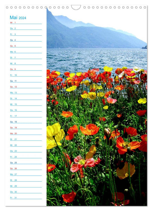 Tessin d'une beauté fantastique (calendrier mural CALVENDO 2024) 