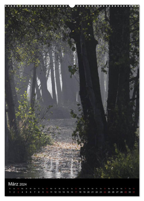 Wunderbarer Spreewald (CALVENDO Premium Wandkalender 2024)