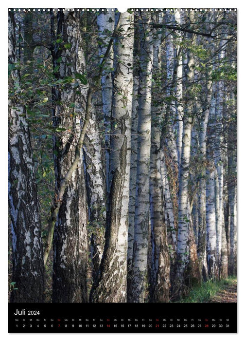 Wunderbarer Spreewald (CALVENDO Premium Wandkalender 2024)