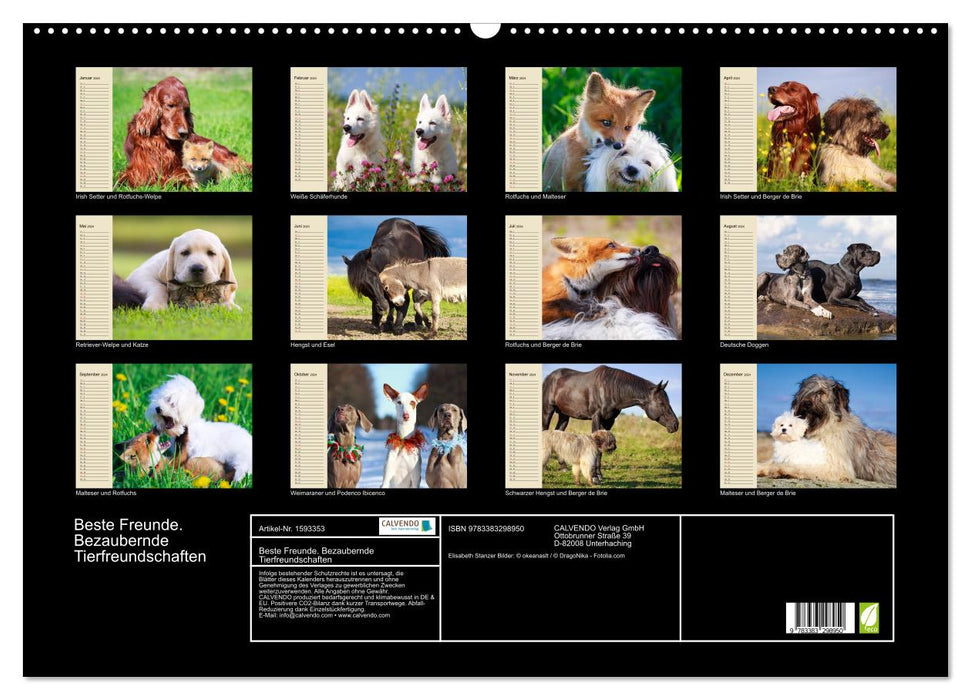 Best friends. Enchanting animal friendships (CALVENDO wall calendar 2024) 