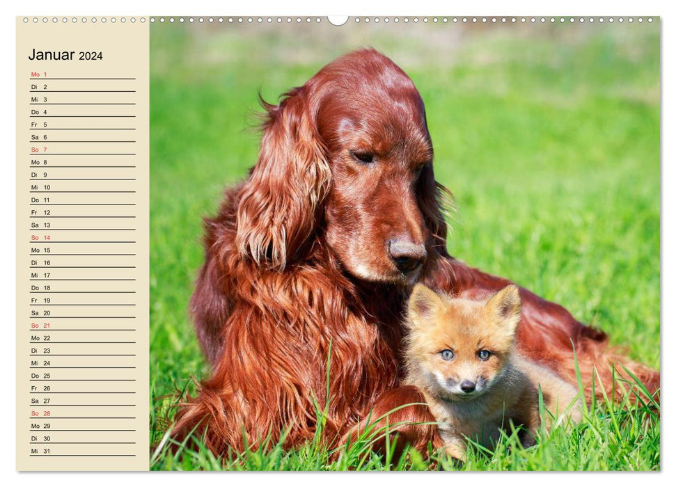 Best friends. Enchanting animal friendships (CALVENDO wall calendar 2024) 