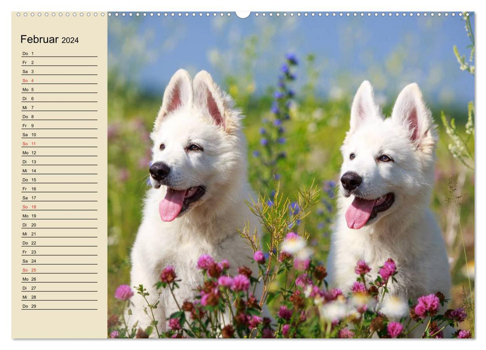 Best friends. Enchanting animal friendships (CALVENDO wall calendar 2024) 