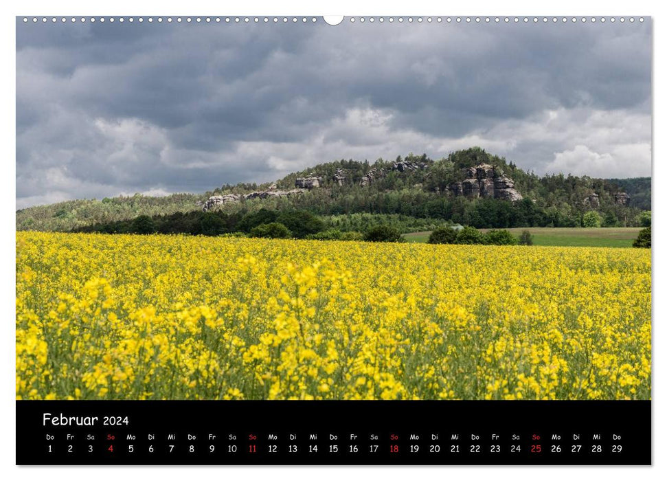 Wilde Schönheit - Das Elbsandsteingebirge (CALVENDO Premium Wandkalender 2024)