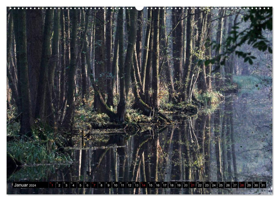 Beautiful Spreewald (CALVENDO Premium Wall Calendar 2024) 