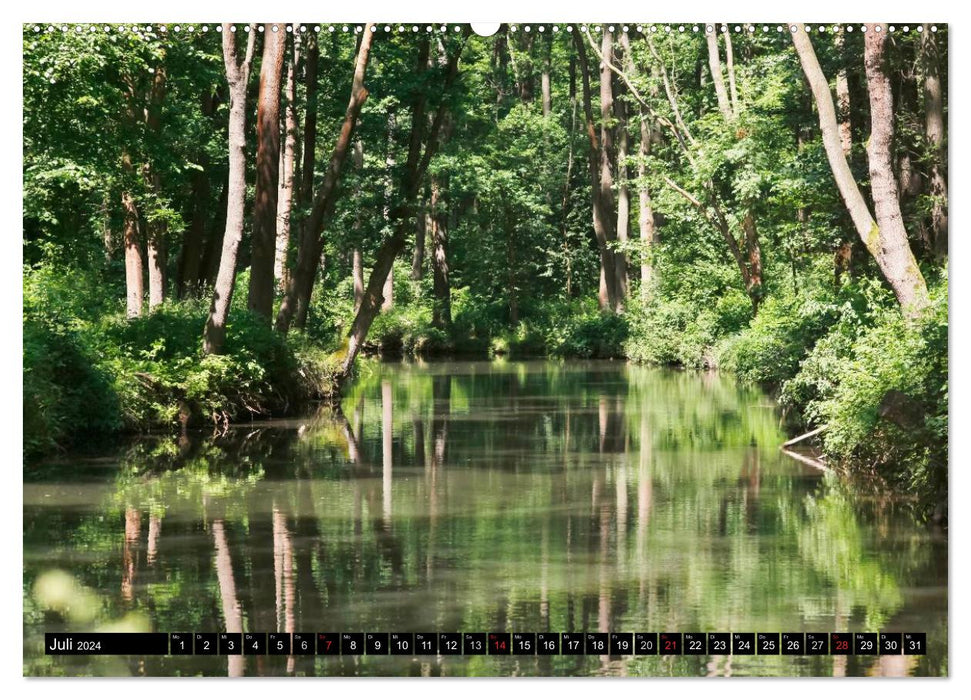 Magnifique Spreewald (Calendrier mural CALVENDO Premium 2024) 