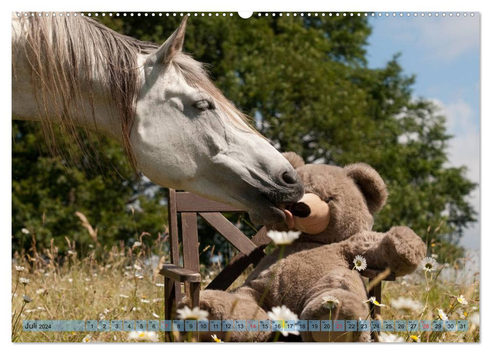 Cheval gris drôle - un cheval avec humour (Calendrier mural CALVENDO Premium 2024) 