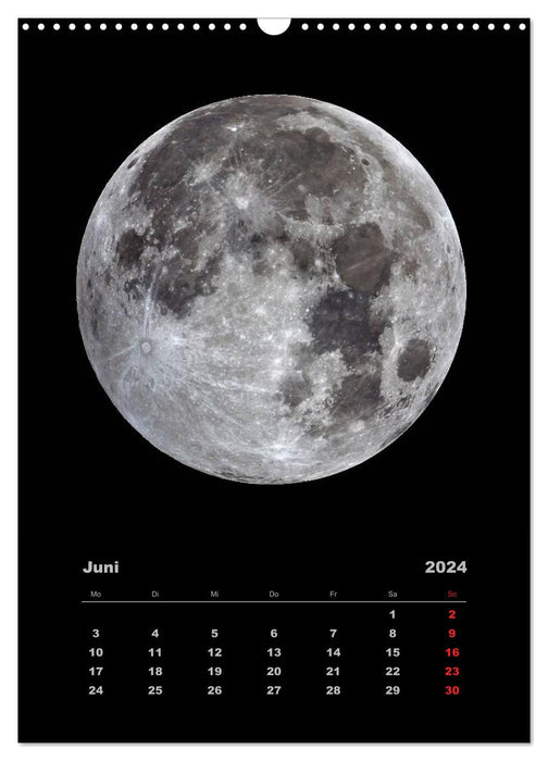 Univers merveilleux (Calendrier mural CALVENDO 2024) 