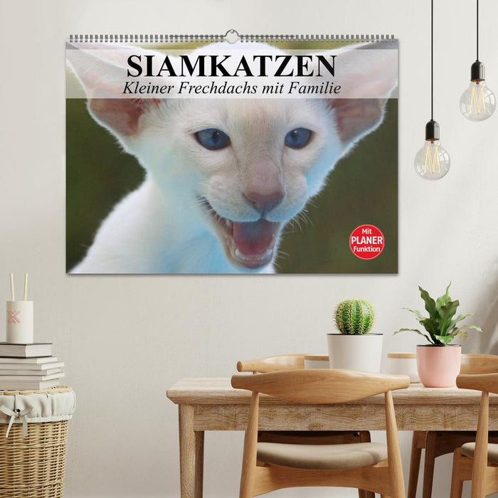 Siamkatzen - Kleiner Frechdachs mit Familie (CALVENDO Wandkalender 2024)