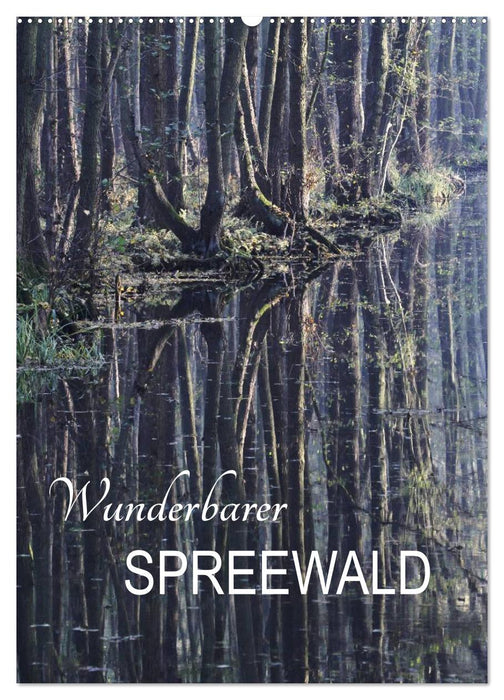 Merveilleux Spreewald (Calendrier mural CALVENDO 2024) 
