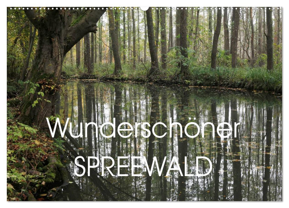 Wunderschöner Spreewald (CALVENDO Wandkalender 2024)