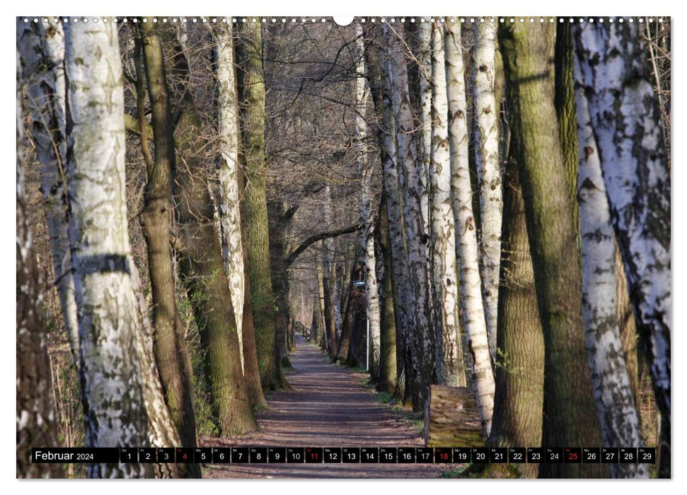Belle forêt de Spreewald (calendrier mural CALVENDO 2024) 