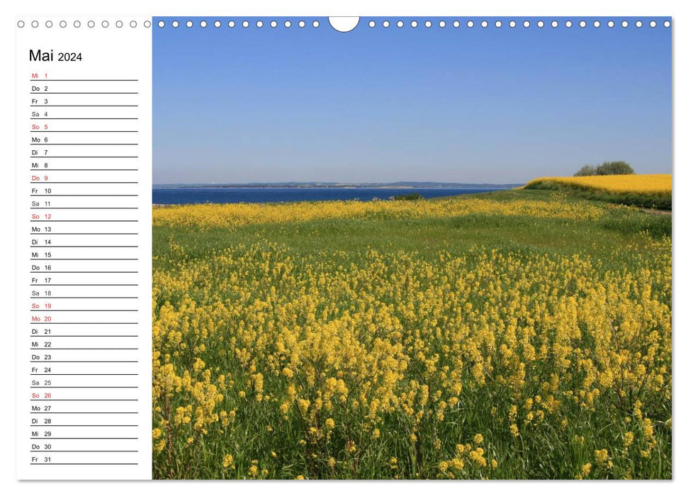 Island Ærø - Pearl of the Danish South Seas (CALVENDO wall calendar 2024) 