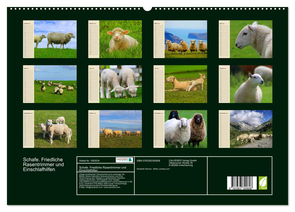 Sheep. Peaceful grass trimmers and sleep aids (CALVENDO Premium Wall Calendar 2024) 
