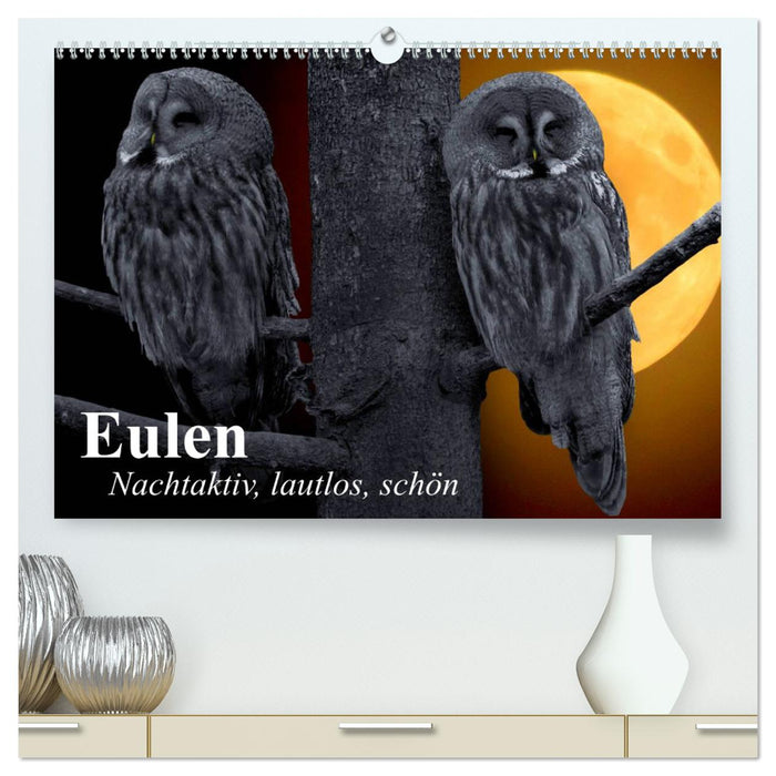 Eulen. Nachtaktiv, lautlos, schön (CALVENDO Premium Wandkalender 2024)