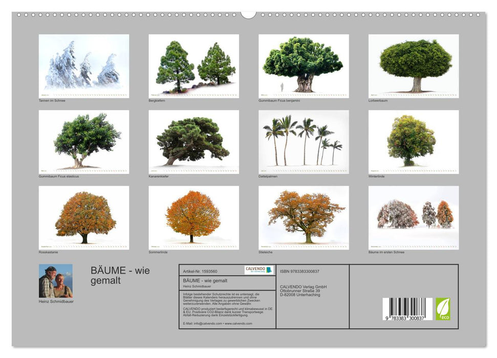 TREES - as if painted (CALVENDO Premium Wall Calendar 2024) 