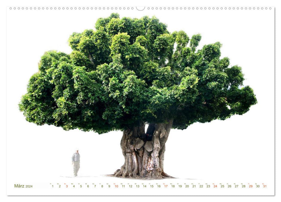 TREES - as if painted (CALVENDO Premium Wall Calendar 2024) 
