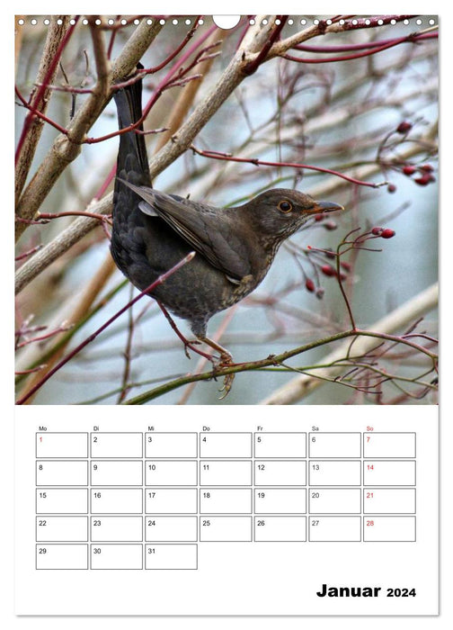 Heimische Wildtiere Terminplaner (CALVENDO Wandkalender 2024)