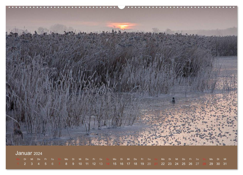 Der Federsee - Vogelparadies in Oberschwaben (CALVENDO Wandkalender 2024)