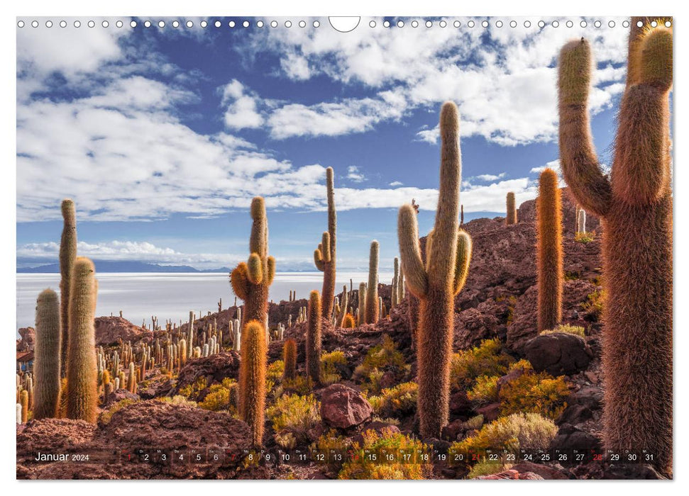 Peru and Bolivia - dream landscapes (CALVENDO wall calendar 2024) 