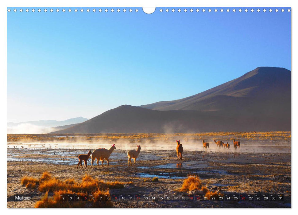 Peru and Bolivia - dream landscapes (CALVENDO wall calendar 2024) 